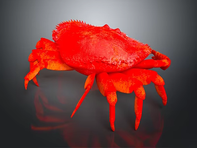 Vibrant Red Crab With Textured Shell And Orange Legs On Dark Surface 3d model