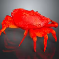 Vibrant Red Crab With Textured Shell And Orange Legs On Dark Surface 3d model