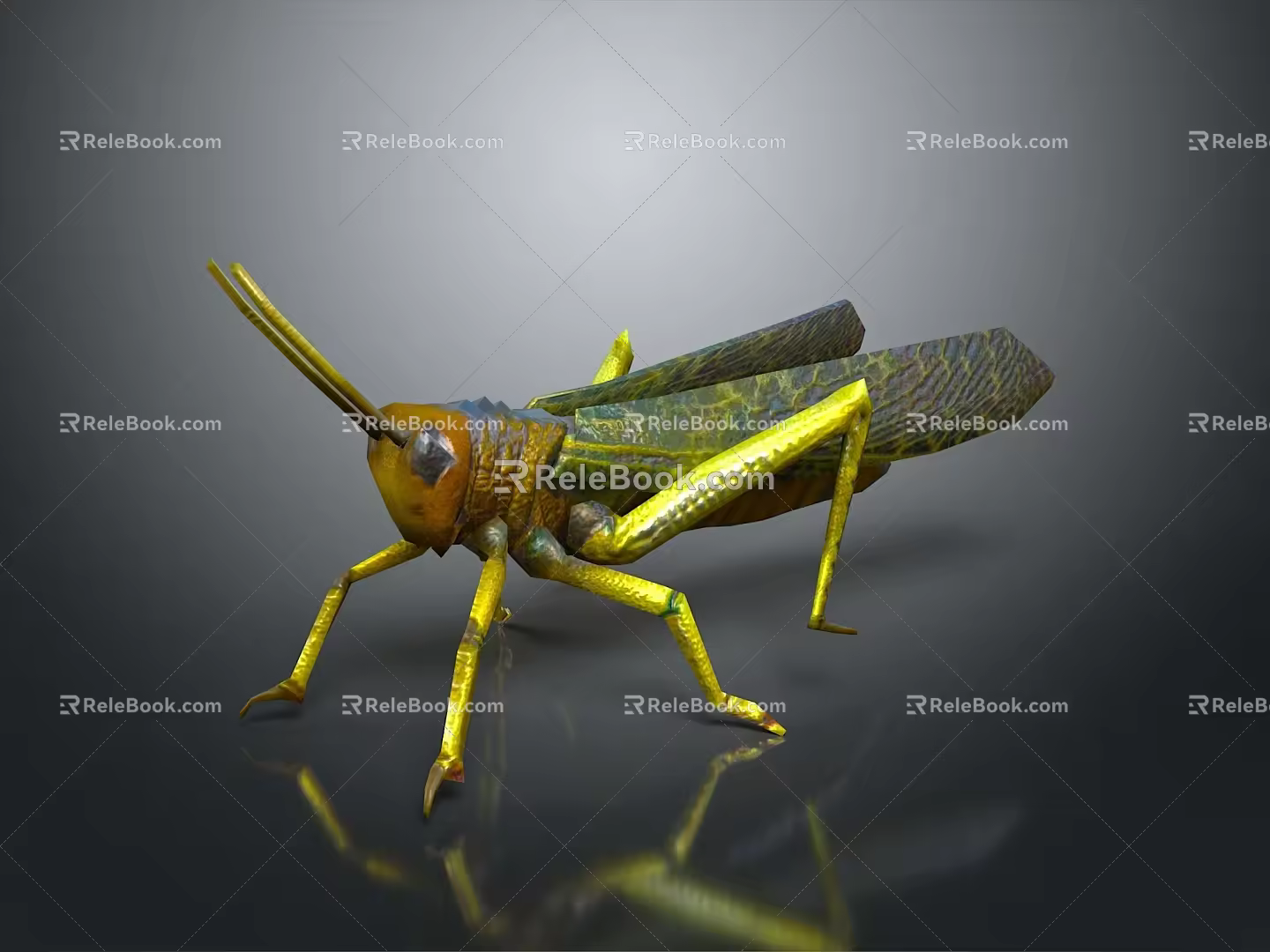 Modern grasshopper insect cartoon locust 3d model
