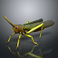 Modern grasshopper insect cartoon locust 3d model