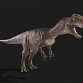 Realistic Carnivorous Dinosaur 3D Model With Open Mouth And Textured Skin