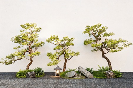 Chinese Landscape Pine Zen Pine Garden Pine Landscape Stone 3d model