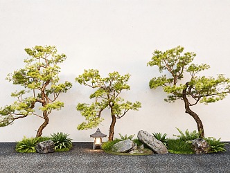 Chinese Landscape Pine Zen Pine Garden Pine Landscape Stone 3d model