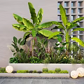 Modern Plant Combination With Banana Leaf Cacti In Long Concrete Planters And Decorative Light Balls