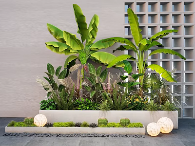 Modern Plant Combination With Banana Leaf Cacti In Long Concrete Planters And Decorative Light Balls 3d model