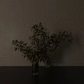 Vase Flower Pot Plant 3d model