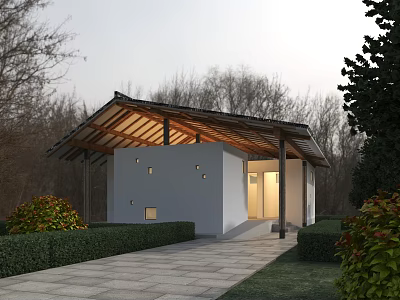 Modern White House with Sloped Wooden Roof Stone Path Green Hedge and Trees 3d model