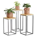 Potted Bonsai Plants in Face Designed Clay Pots on Metal Frame Stands with Wooden Tops