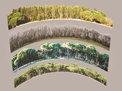 Seasonal Garden Landscape With Curved Woodland Views In Different Growth States 3d model