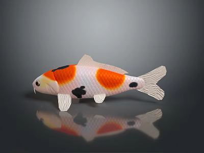Vibrant Koi Fish With Orange White And Black Pattern On Smooth Surface Reflection 3d model