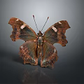 Brown And Dark Butterfly With Irregularly Shaped Wings On Gray Background With Reflection 3d model