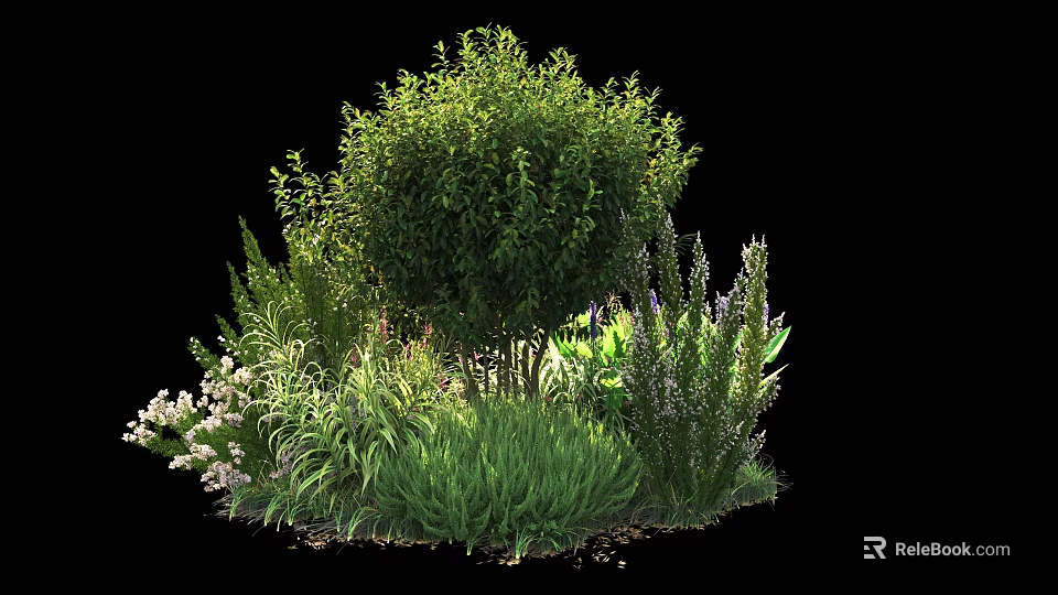 Lush Green Shrub Surrounded by Various Herbs and Flowering Garden Plants 3d model 