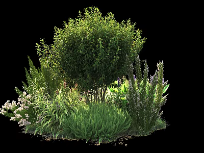 Lush Green Shrub Surrounded by Various Herbs and Flowering Garden Plants 3d model