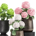 Green Pink White Hydrangea Flowers Arranged in Black Brown Ceramic Vases for Home Decor