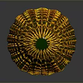 Colorful Scaled Egg Shaped Object With Yellow Green Orange And Blue Textured Surface