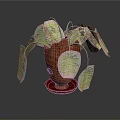 Indoor Wooden Planter With Green Monstera Leaves And Decorative Tray