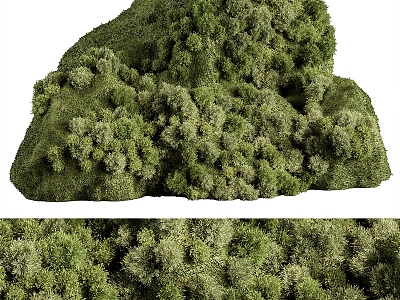 Modern moss model