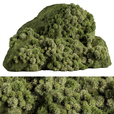 Moss