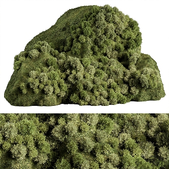 Modern moss 3d model