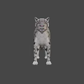 Wildlife Snow Leopard Standing Gracefully With Spotted Coat In Natural Mountain Habitat