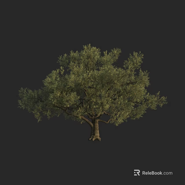 Arbor Tree With Lush Green Foliage Strong Trunk And Natural Shape 3d model 