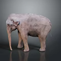 3D Rendered Realistic Elephant Standing With Detailed Texture On Gray Background