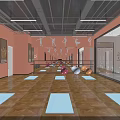 Fitness Studio With Yoga Mats Fitness Balls Barres Mirrors And Dance Decor On Wooden Floor