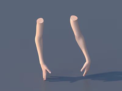 Woman With Truncated Arms Naturally Hanging On Gray Background And Slightly Curved Fingers 3d model