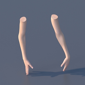 hand arm female hand 3d model