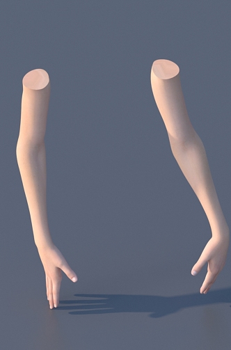 hand arm female hand 3d model