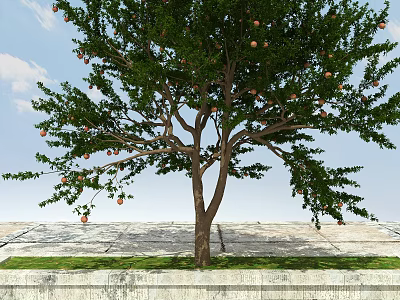 Lush Green Arbor With Ripe Fruits And Foliage Against Blue Sky And Stone Pavement 3d model