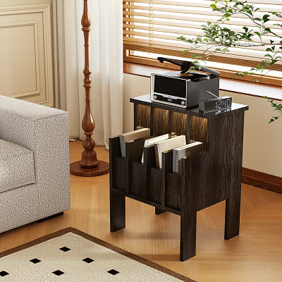 Dark Wood Side Table in Living Room Next to Sofa with Storage Compartments and Radio 3d model