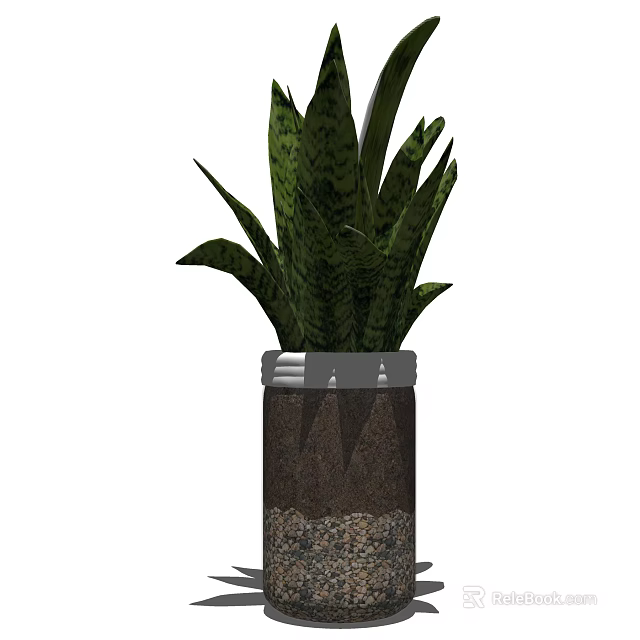 Bonsai Potted Snake Plant With Green Leaves Dark Patterns In Decorative Pot With Pebbles 3d model 