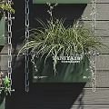 TANITAX Wall Mounted Planters With Potted Bonsai Green Purple Plants On Gray Brick Wall Chains