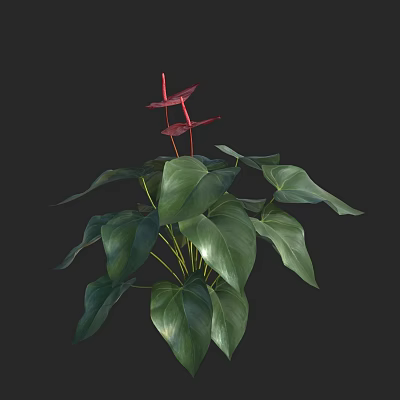 Vase with Red Anthurium Flowers and Vibrant Green Leaves Decorative Arrangement 3d model