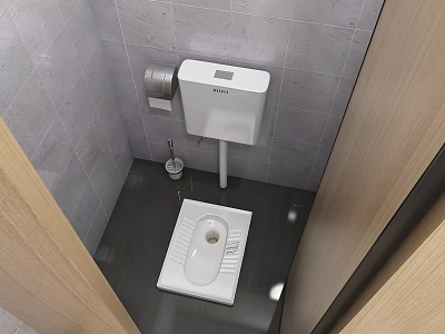 Public Toilet Interior With Gray Tiled Walls Squat Toilet Toilet Paper Holder And Wooden Cubicle 3d model