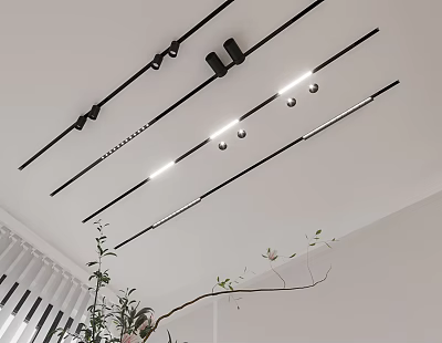 Modern Ceiling Track Lighting Design With Downlights And Spotlights For Contemporary Interior Spaces 3d model