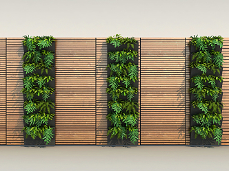 Modern Plant Wall Plants 3d model