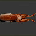 Red Reptile Featuring Spiral Shell and Long Tentacles on Dark Surface 3d model