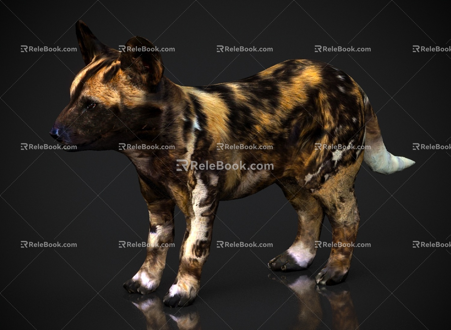 Animal Beast Puppy 3d model