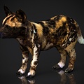 Animal Beast Puppy 3d model