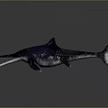 Realistic Ichthyosaur 3D Model Featuring Long Snout Sharp Teeth And Streamlined Body