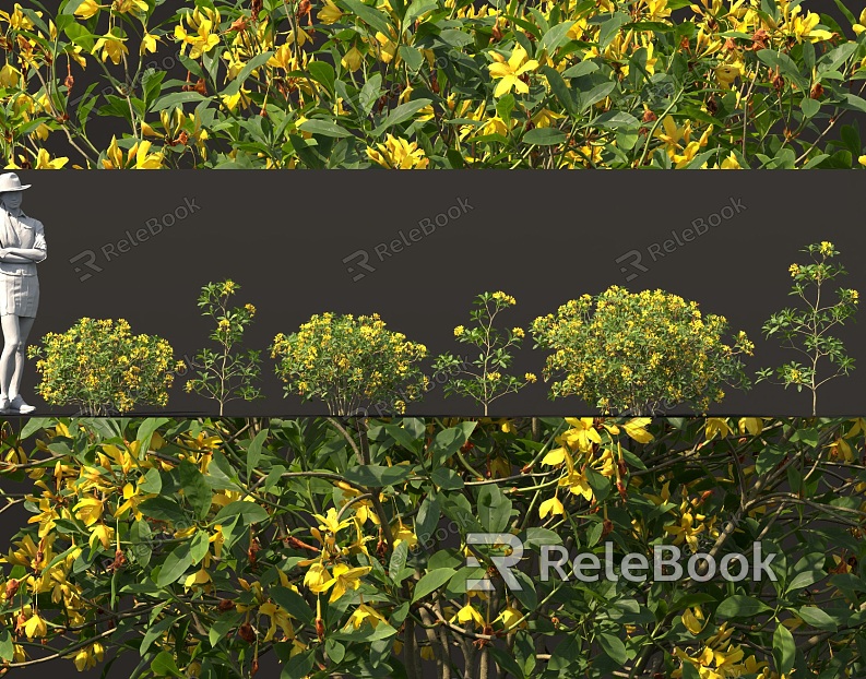 alpine rhododendron shrub flower tree yellow flower rhododendron potted plant bonsai sketch interior decoration hedgerow cluster group green plant model