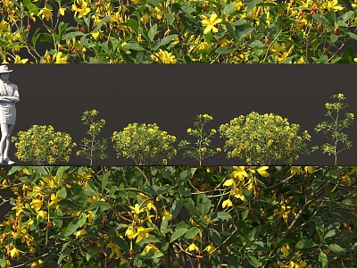 alpine rhododendron shrub flower tree yellow flower rhododendron potted plant bonsai sketch interior decoration hedgerow cluster group green plant model