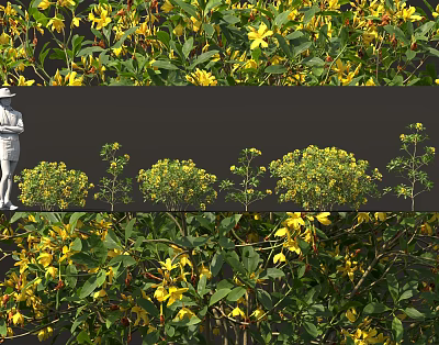 Vibrant Yellow Flowers With Lush Green Leaves In Scenic Garden View 3d model
