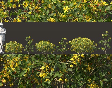 alpine rhododendron shrub flower tree yellow flower rhododendron potted plant bonsai sketch interior decoration hedgerow cluster group green plant 3d model