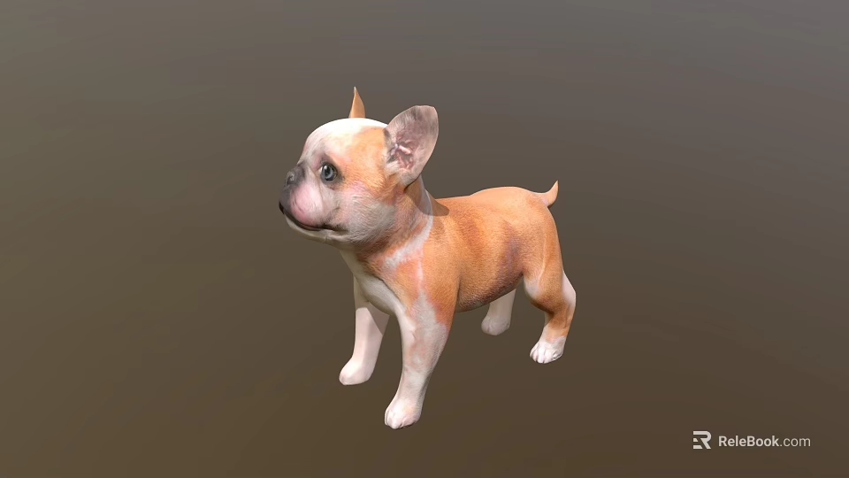 Realistic 3D Model of Brown and White French Bulldog Puppy Standing 3d model 