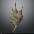 Organic Shell Structure With Hairy Surface And Spiny Projections On Dark Background