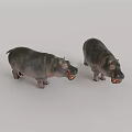 Two Gray Hippo 3D Models With Open Mouths On Light Gray Background 3d model