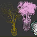 Indoor Palm Plants In Decorative Ceramic Pots With Lush Green Leaves